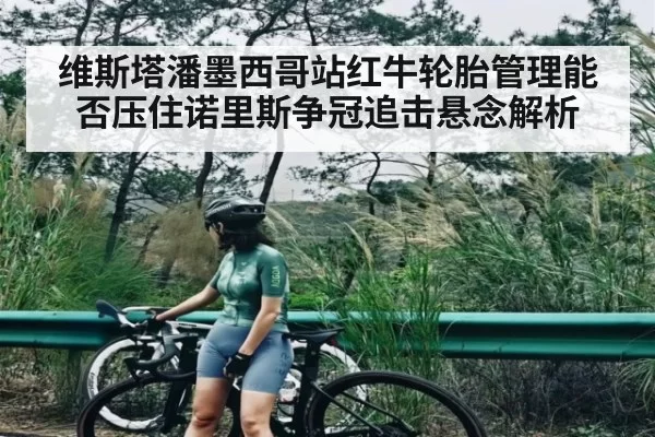 维斯塔潘墨西哥站红牛轮胎管理能否压住诺里斯争冠追击悬念解析