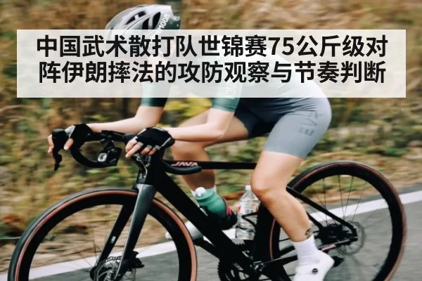中国武术散打队世锦赛75公斤级对阵伊朗摔法的攻防观察与节奏判断